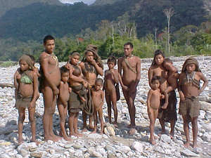The expansion of the Camisea gas projects would threaten the lives of uncontacted tribes in the Nahua-Nanti Reserve. © Survival